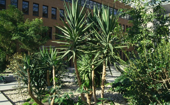 Verwaltungsgebäude Kreissparkasse | 