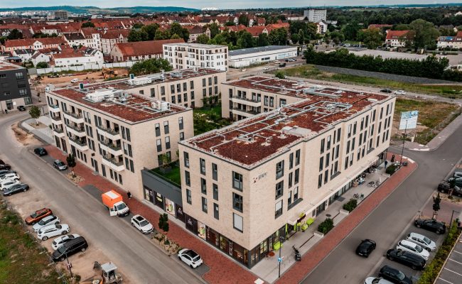 BWV – Neubau eines Wohn- und Geschäftshauses – Ostend Block7 | 