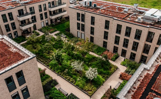 BWV – Neubau eines Wohn- und Geschäftshauses – Ostend Block7 | 