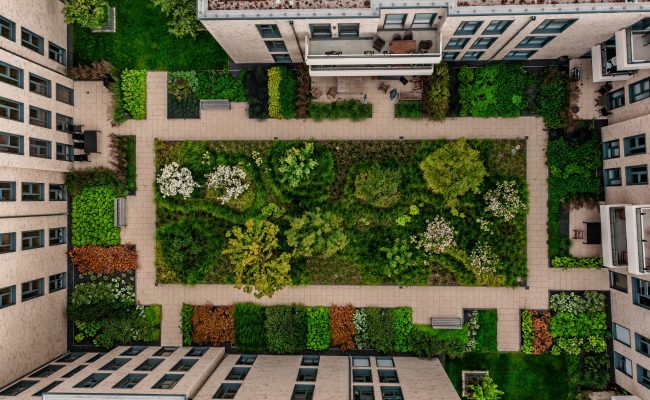 BWV – Neubau eines Wohn- und Geschäftshauses – Ostend Block7 | 